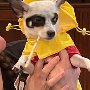 Meet your Posher, Patricia